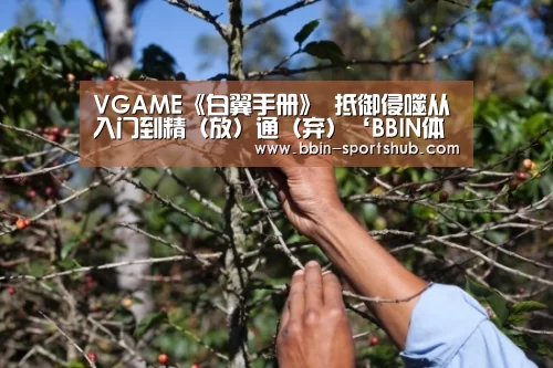 VGAME《白翼手册》 抵御侵噬从入门到精（放）通（弃）‘B
