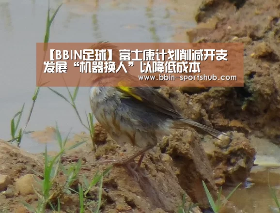 BBIN足球