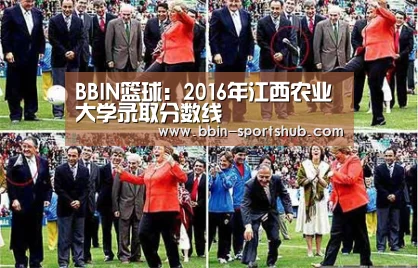BBIN篮球