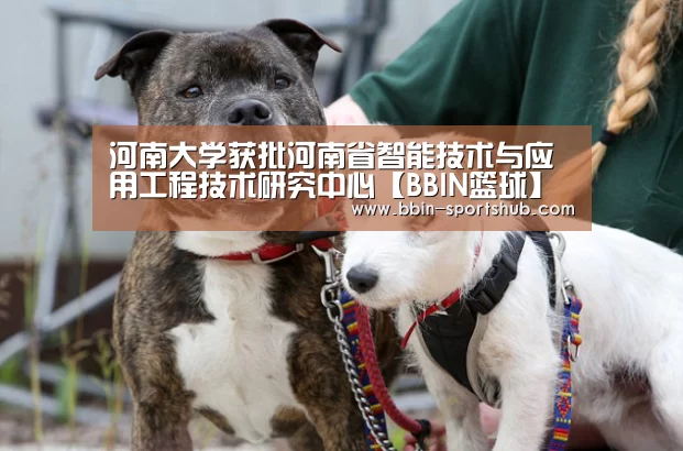 河南大学获批河南省智能技术与应用工程技术研究中心【BBIN篮球】(图1) BBIN电竞